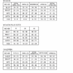 Capezio Sizing Chart